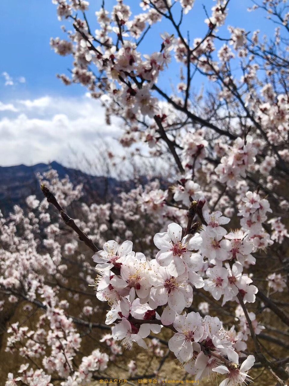 165DC233-F886-460B-AD12-24BD2EB9EDF4