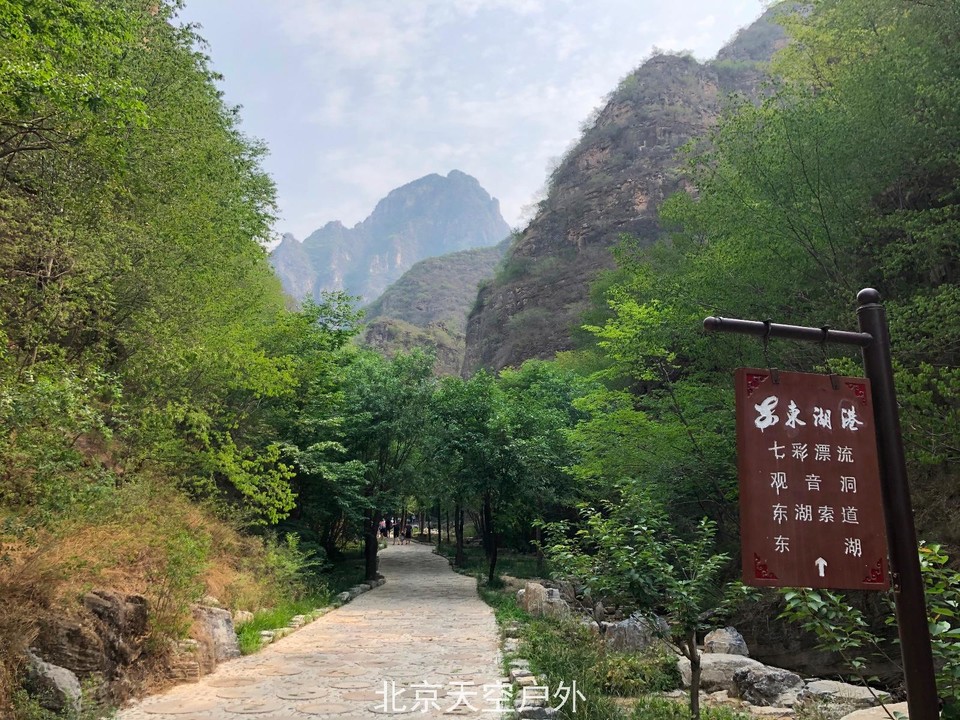 966E1A72-64B5-4A06-984F-9CC1068D0E9A