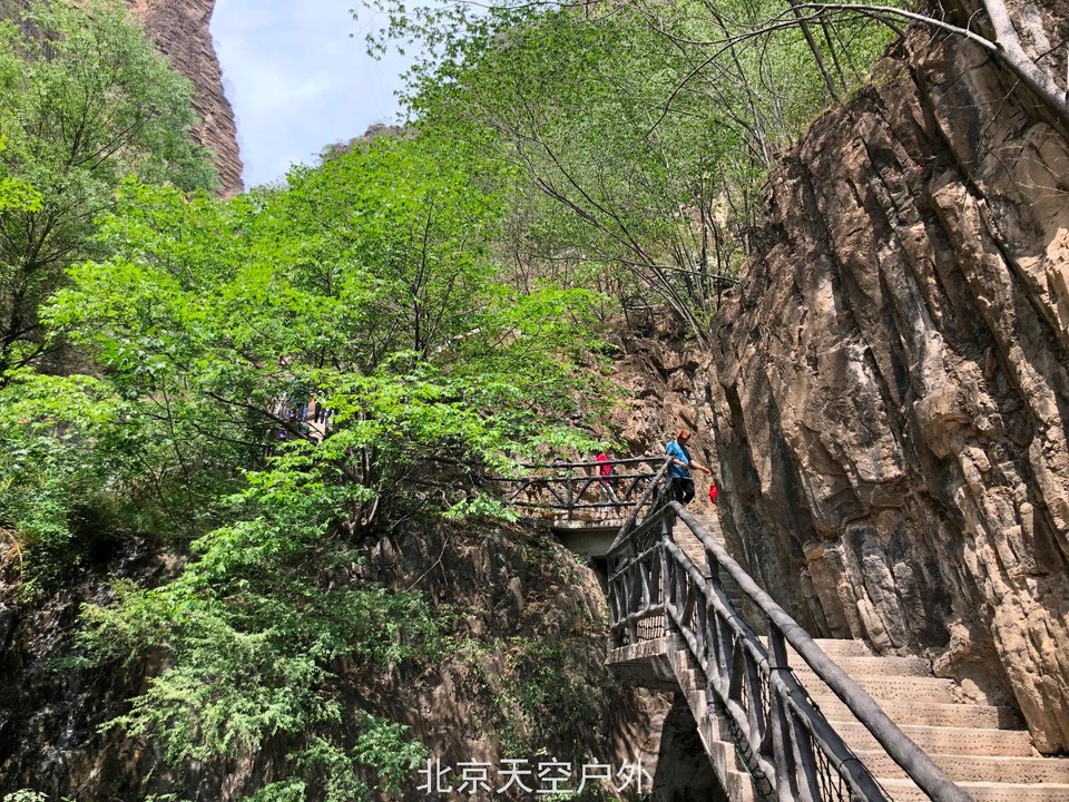 D01270BE-616F-4298-B641-29811358A66F