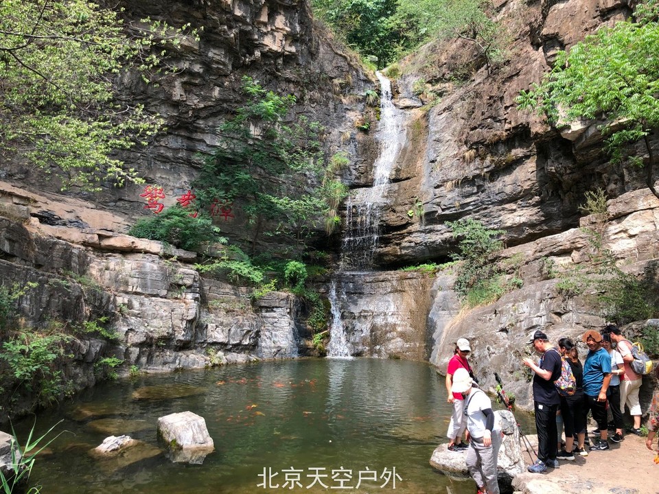 28D3399A-6E2D-41DB-B731-661A9E8A6250