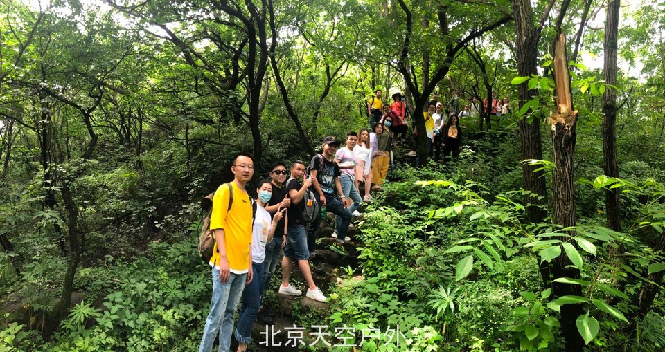 8A3A03BE-78EB-4E65-A487-744E741948E5