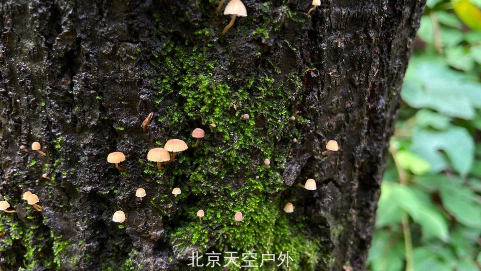 40858BAF-A616-4394-B3B2-2BDAD58F959F