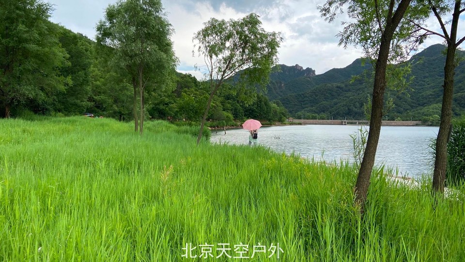 B2E878C0-B0D6-4823-82E7-392315B1BADC