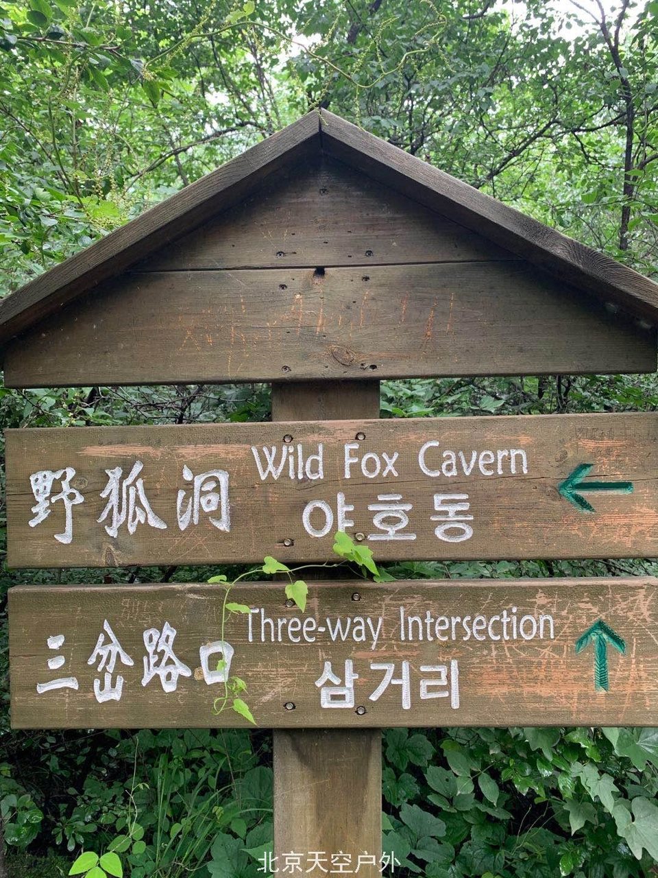 D2F06F52-0DF2-4776-8A75-0E0C9196787F