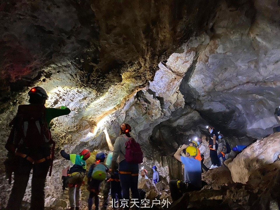 9550905A-EC19-4D0D-8B77-1BE94566051A