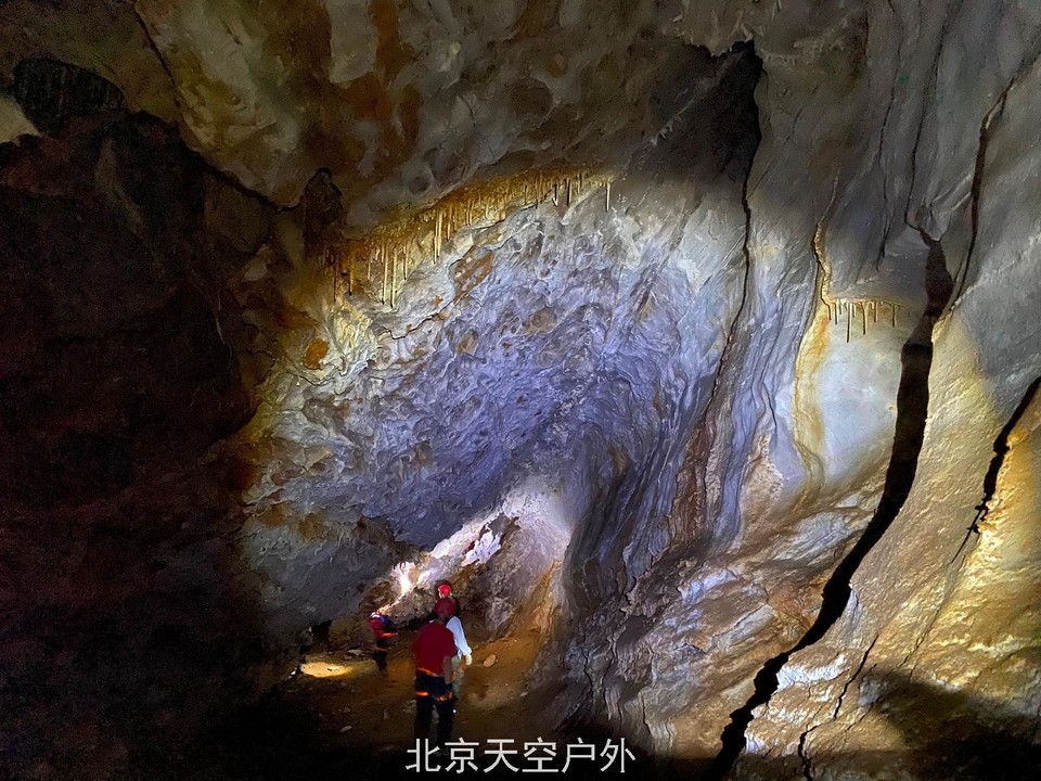 785E81C1-0233-45B6-B0B5-57D23352285D