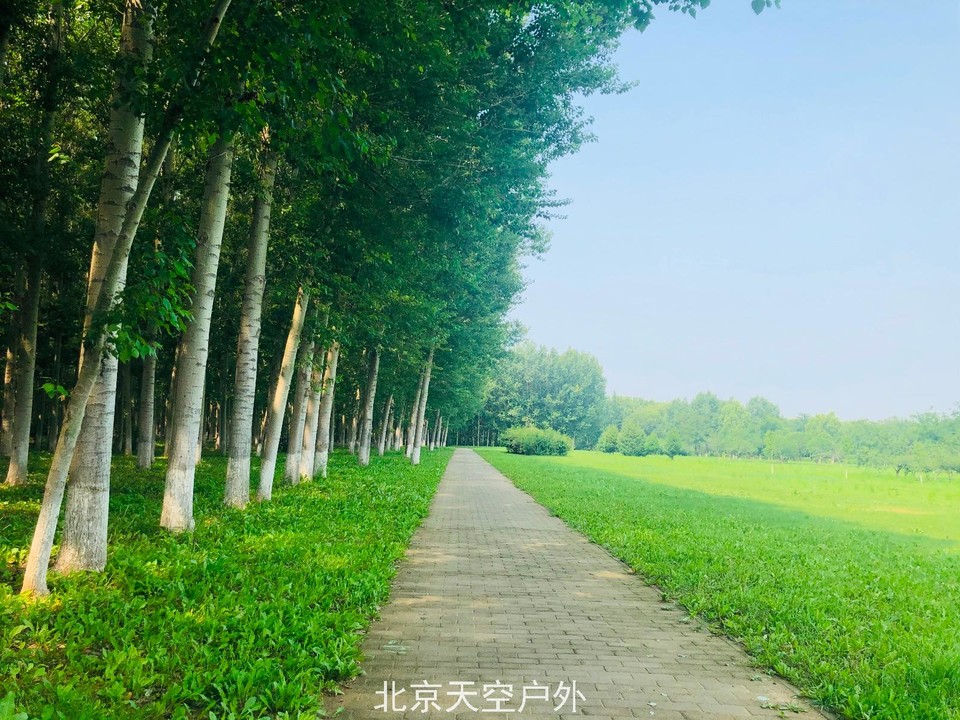 97F41257-F3D7-45B3-ADA6-8F31F88336F9