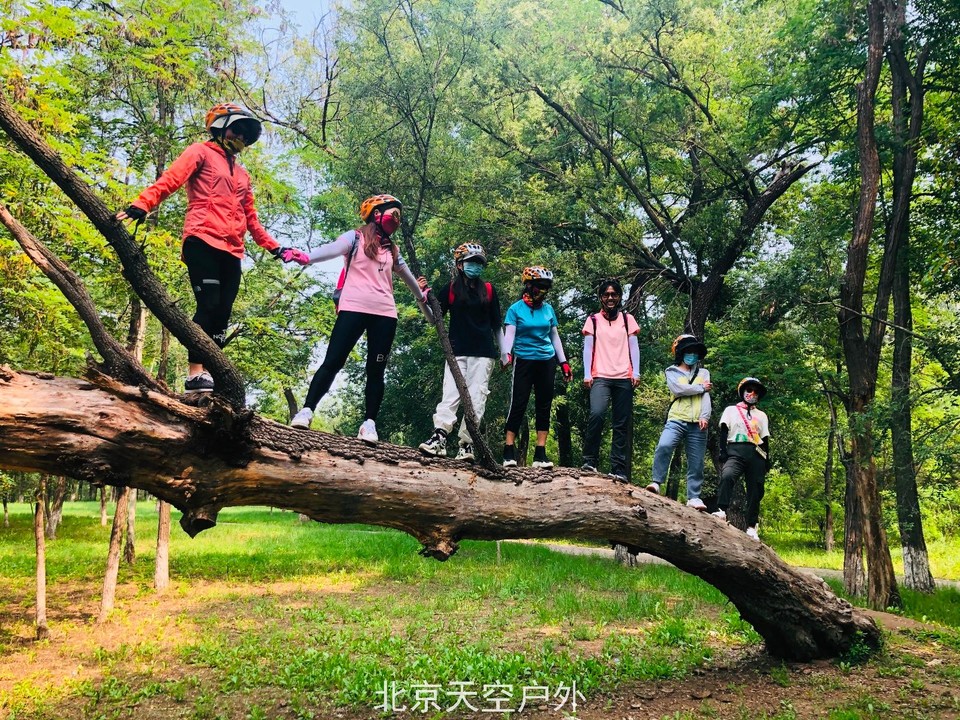 54F9F99B-66FE-4BC0-A077-017DE7258B54