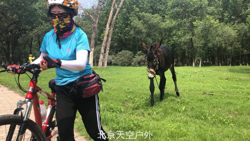 3ED8547A-681E-447E-A09B-8F1CC4569CC5