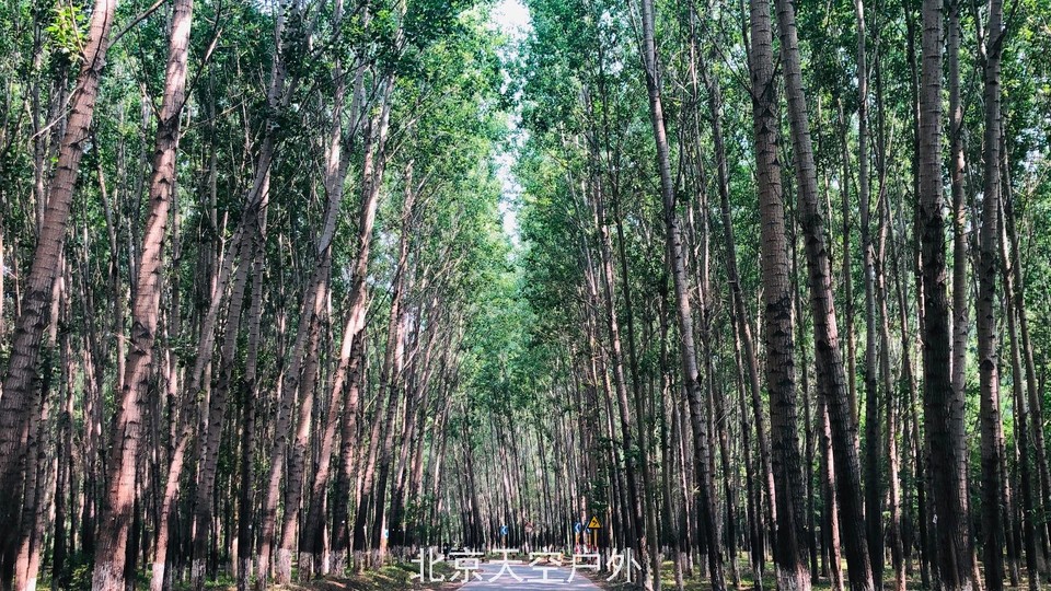 D0CCF646-5C28-4D79-B8AB-F40ADE964854