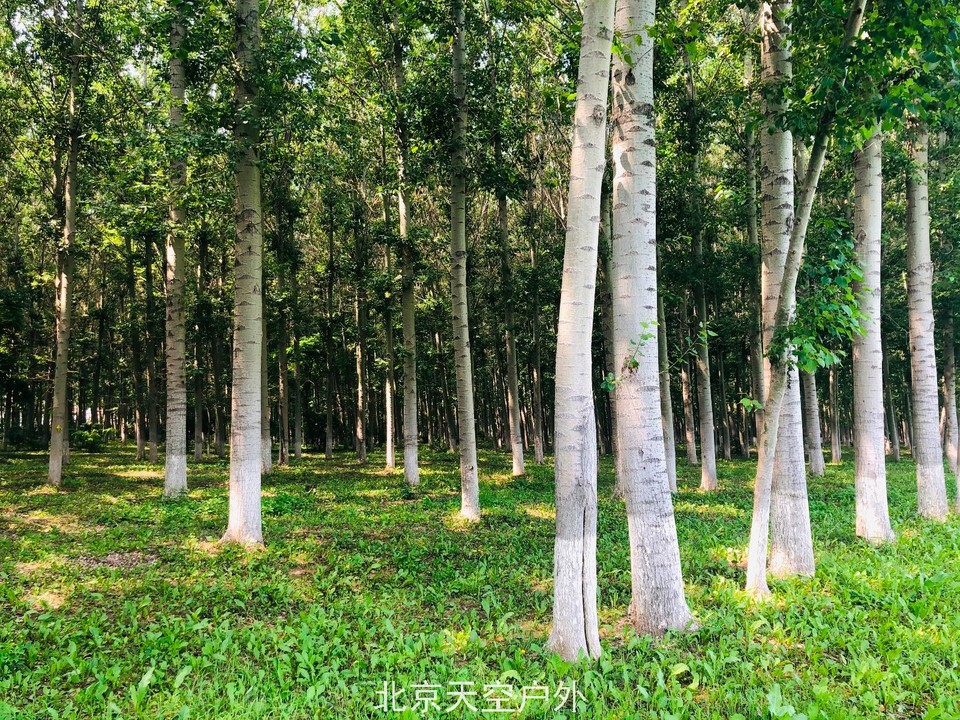 E3EFA6F5-EA71-4007-8F75-5D661548E9D4