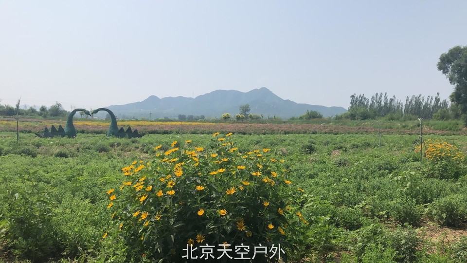 F7A15F20-5850-474C-BF28-269A7BD5FAA7