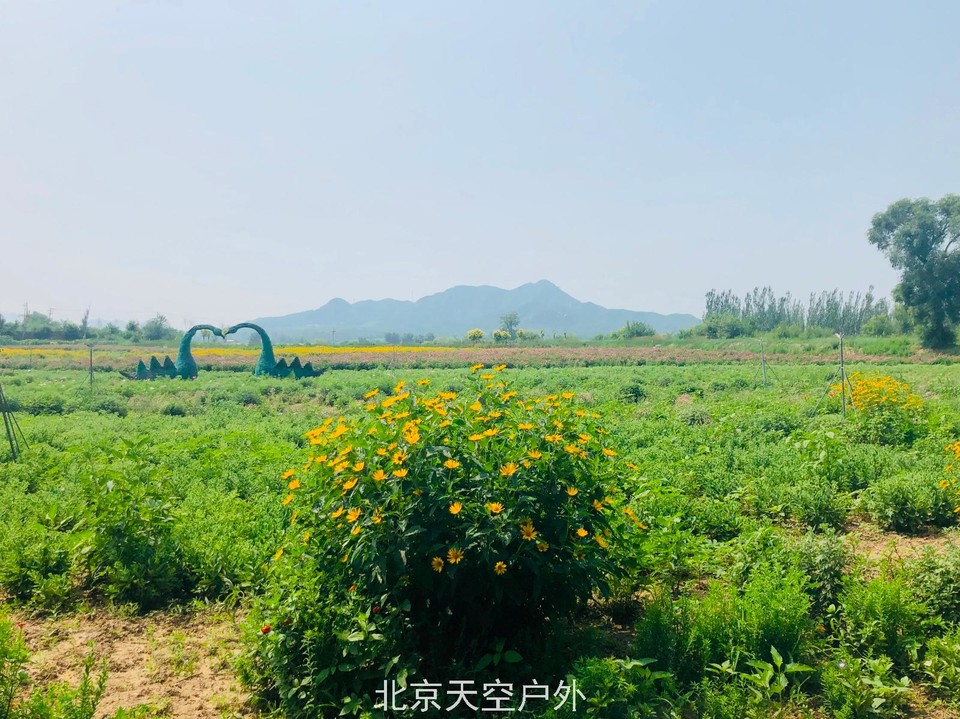 13EB3C36-BC30-4416-B2A2-B88B9E107E7E