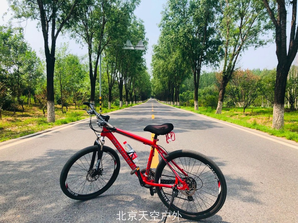 A9F18C9D-D317-4C63-AE15-2FE82E34C49A