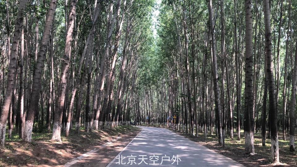 B9671F3D-C036-4657-BFDC-7B07AFED8BF7