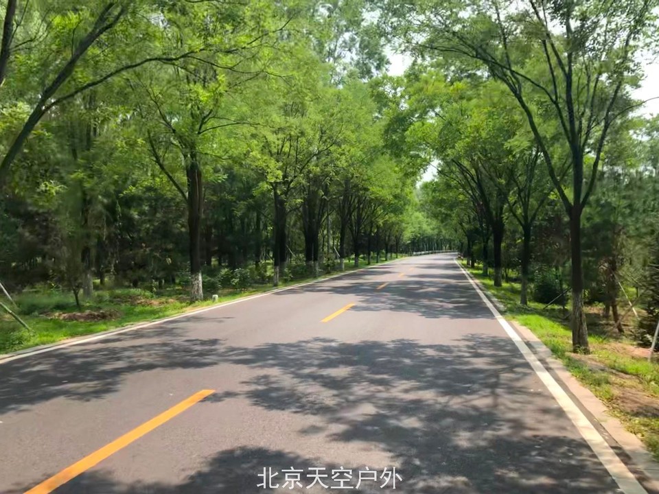 87DEB352-9971-412D-A2DC-6F5EDB72D8EB