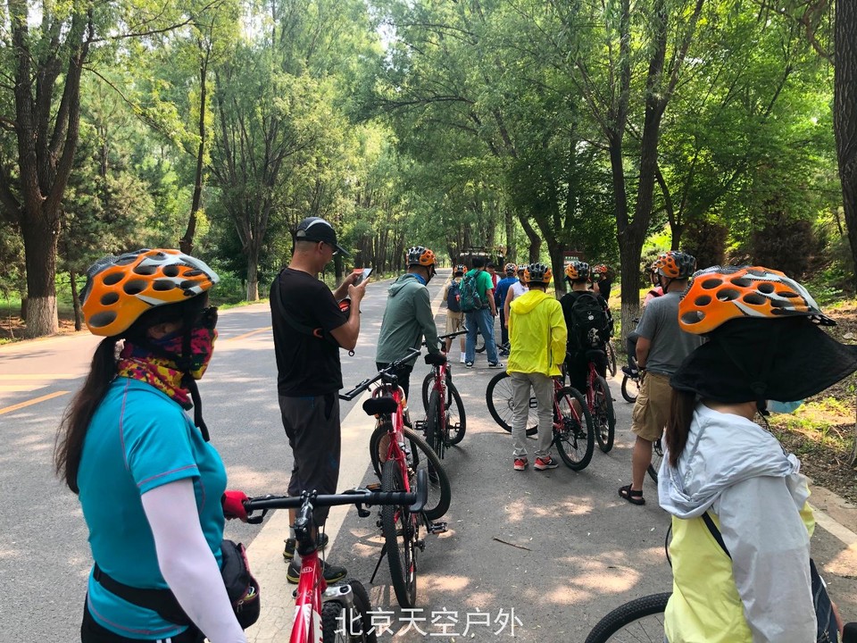 98179575-3785-4148-A67A-C25979927B0C