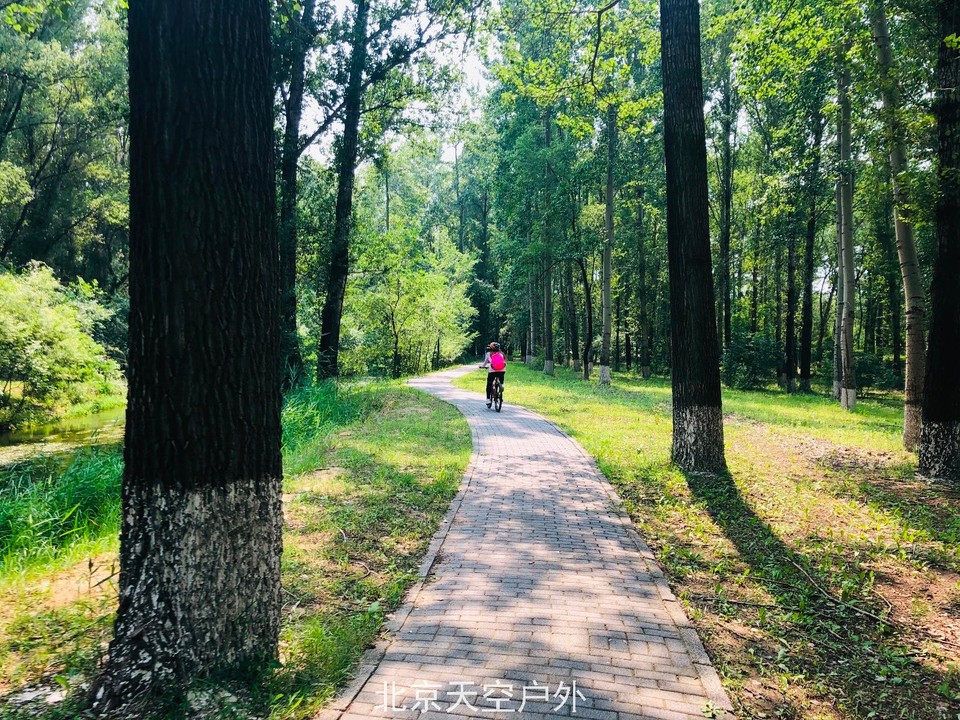 DF8B621C-23C8-42E7-93B6-40118518E961