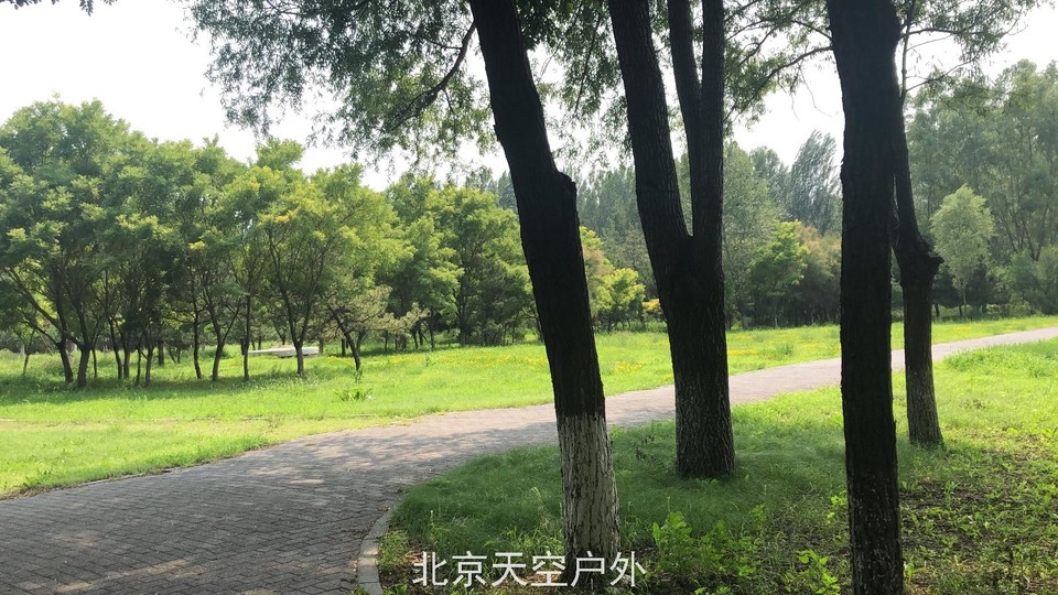 7DE8BCFE-722D-49D4-A49E-8E7005C0BBC9