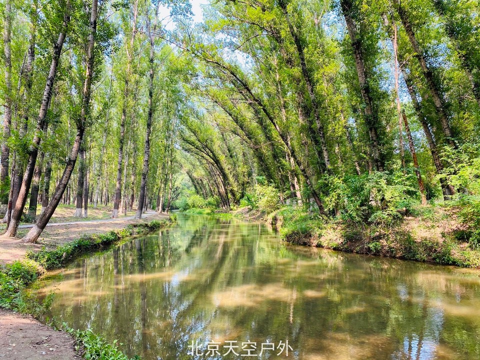 382352B4-312D-4C6C-9F7F-9BD80DA617FD