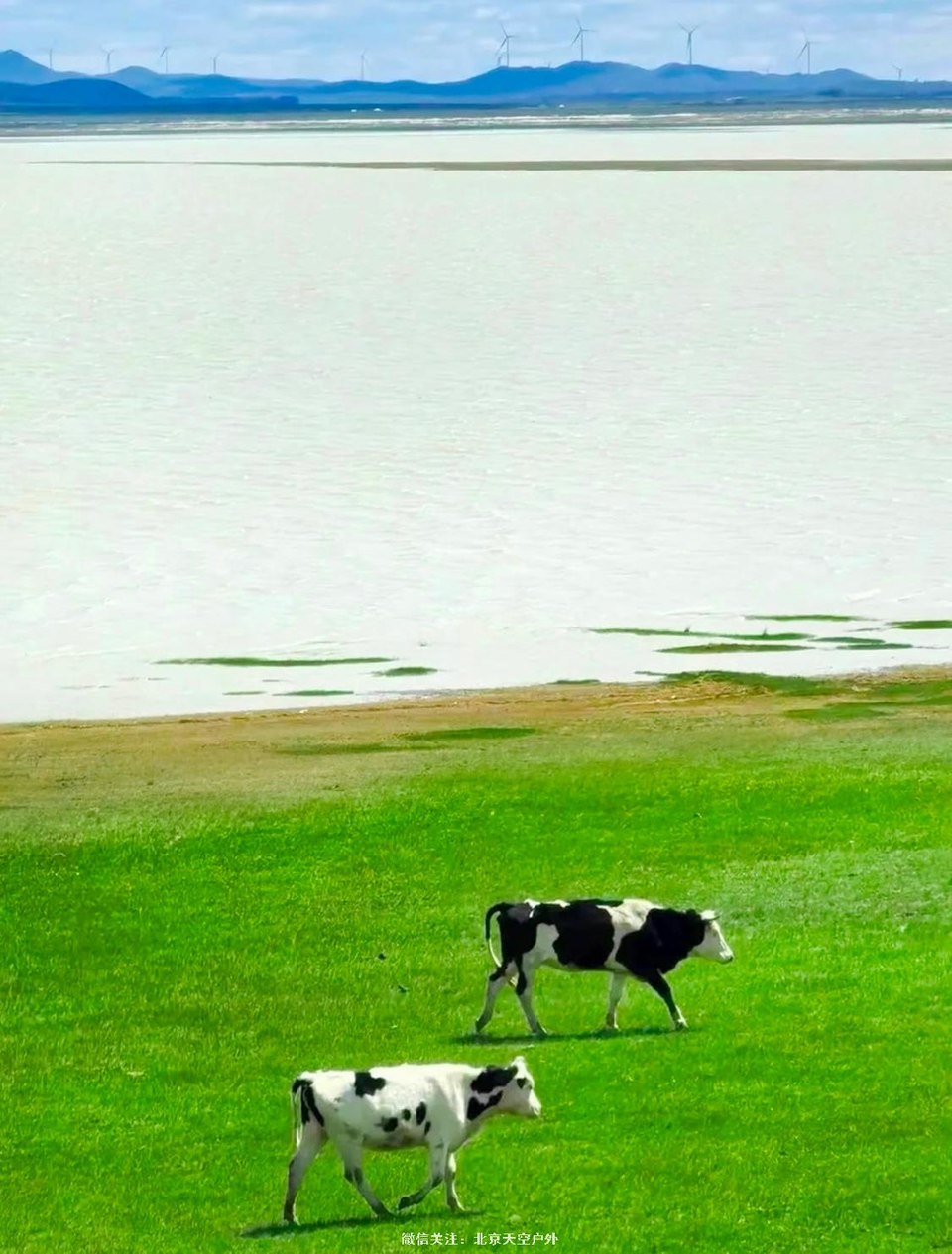 D7652328-78D1-4AC1-87D5-9D473D5742D9