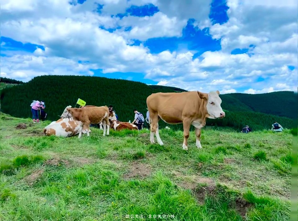 5E689120-2782-4DB6-A0E9-2F333FB5763E