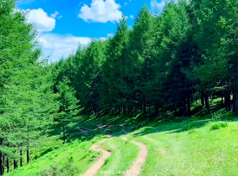 7847AF11-8D3F-4B6E-8667-26D034462C05