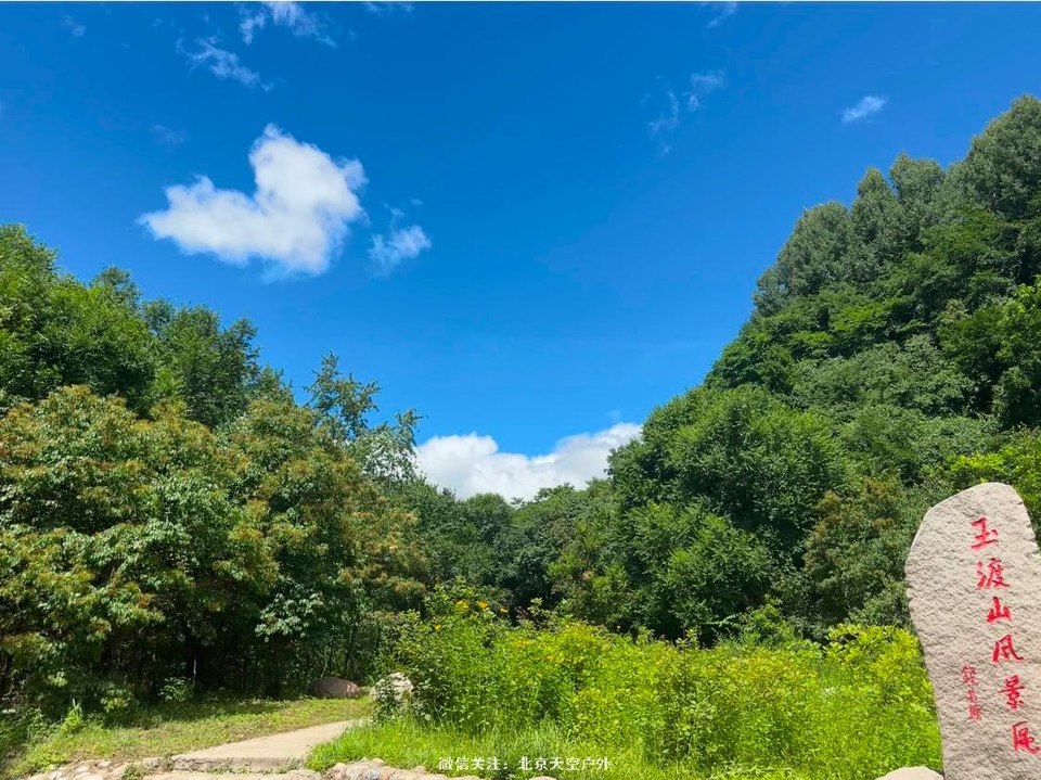 E0B5D8BE-2303-43E5-8D12-AEF321456810