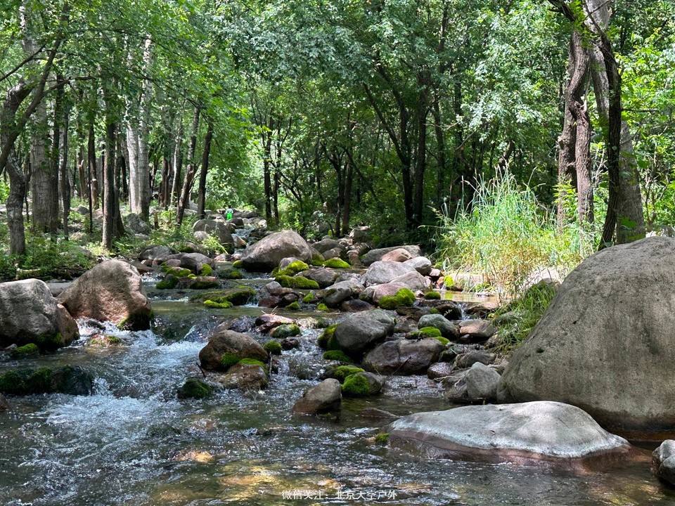 A6E1EA2A-32F9-47ED-BF5F-56B8E3189A1C