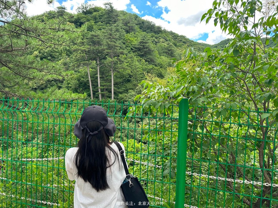 CDE5D021-FDB0-4D4D-B268-0C9C107D2A69