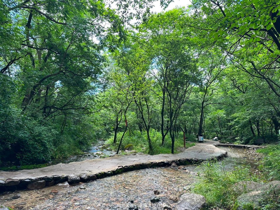 338FE323-9D21-4302-958F-B49269AE1228