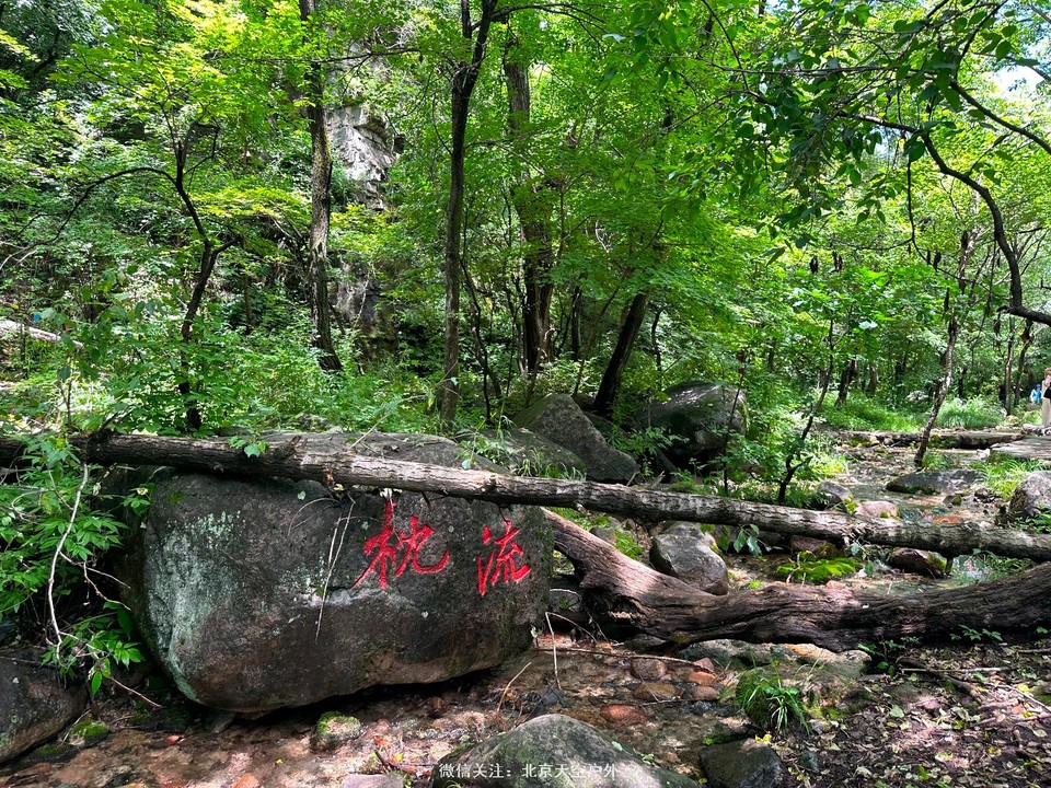 AA8089B8-9DA1-415C-8A8E-55338ADAEBEB