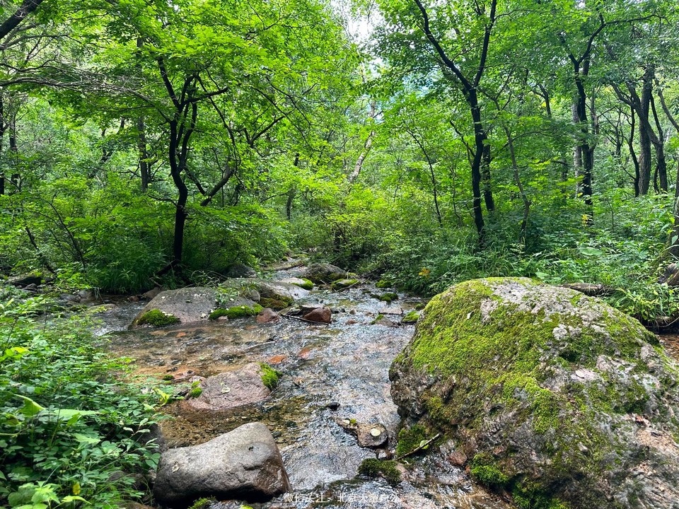 44AEAC88-F011-4978-A8A4-E32A0EC7E93D