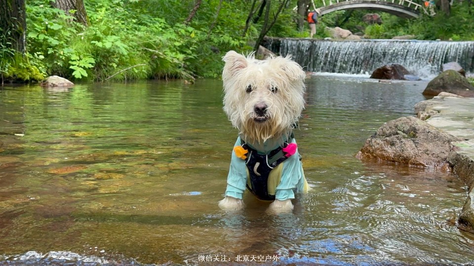 3C2DE1DB-D257-4A7A-8CC6-87B6C4F5C778