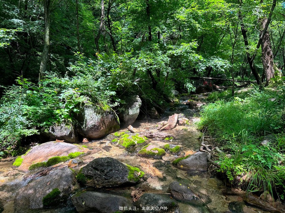 951509BC-AEBF-4B55-A10E-C1235517EC82