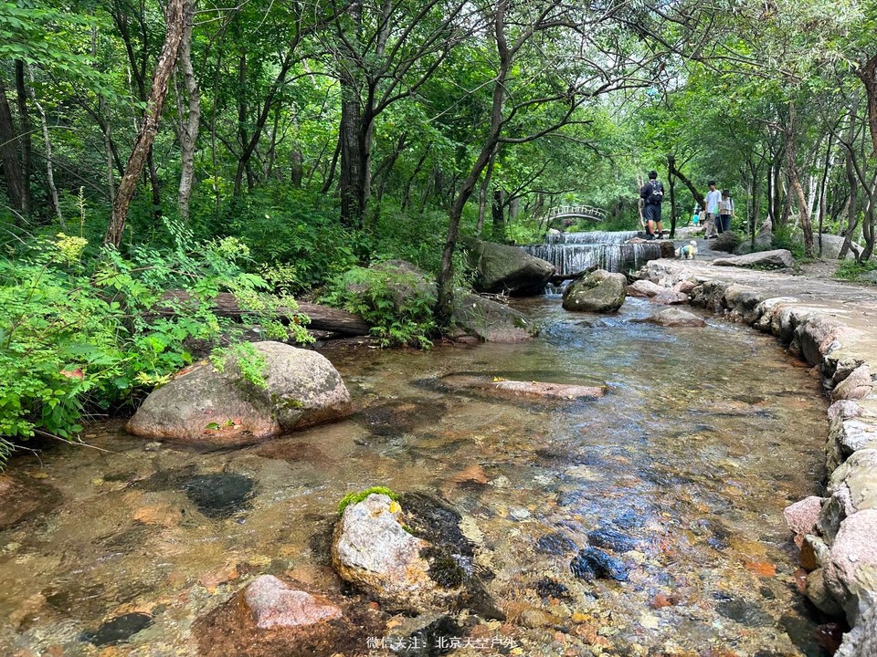 9997A6F1-B383-47C5-AB54-41DF38F6733D