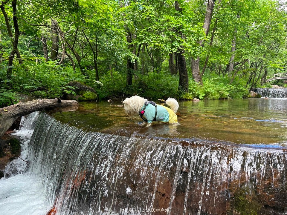 D68E4D85-76EE-406B-AF0F-BDD11529F3BF