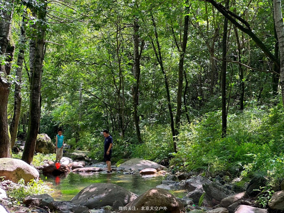 4B304E01-31B2-4244-A71B-9F0EB816D1FE