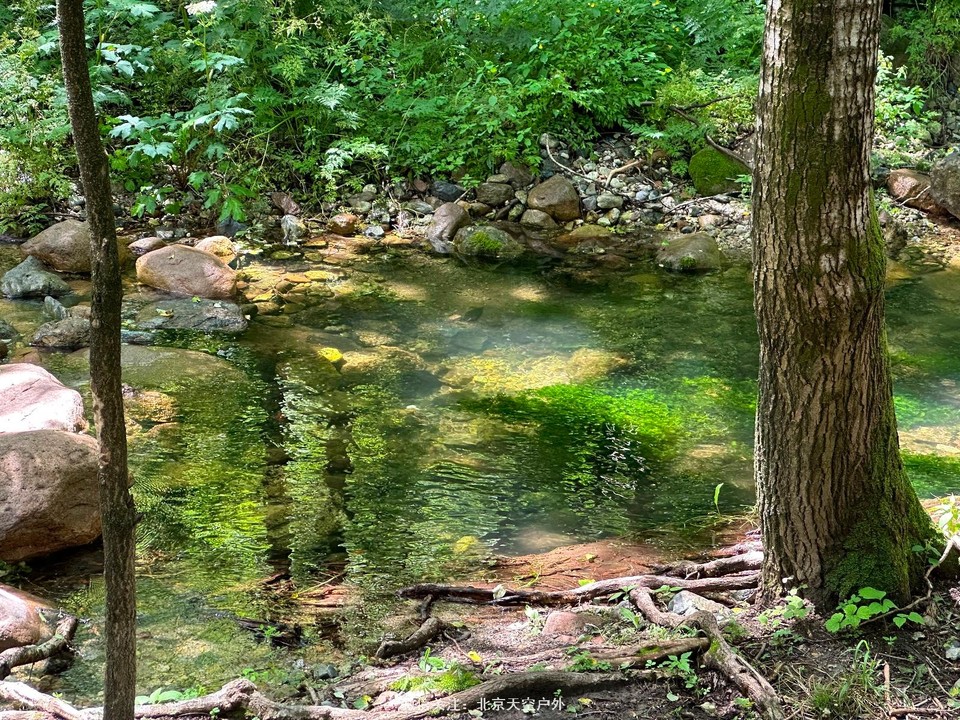 5F101971-F1A6-4B55-B04A-075C683BFBB9