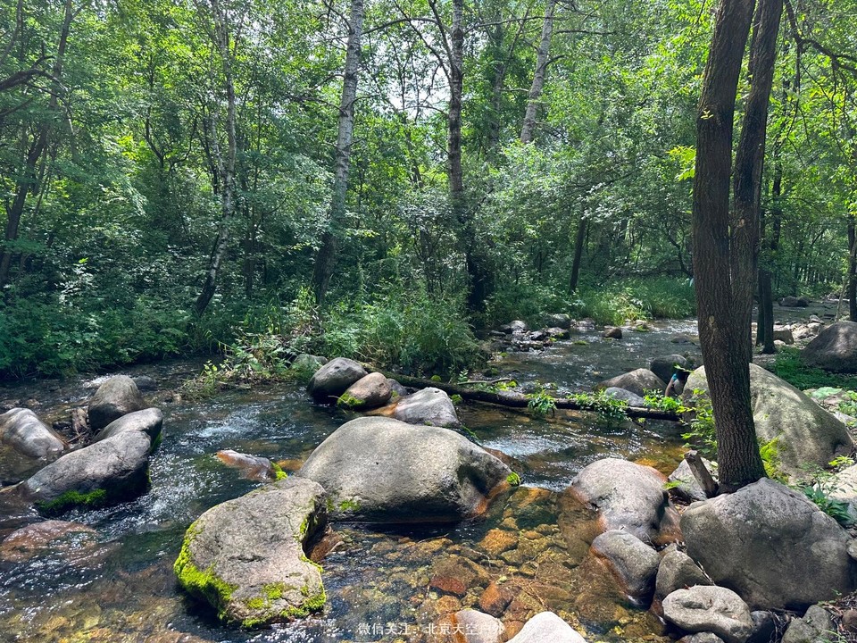 5C0816E2-9398-4275-9814-500C416D5D32