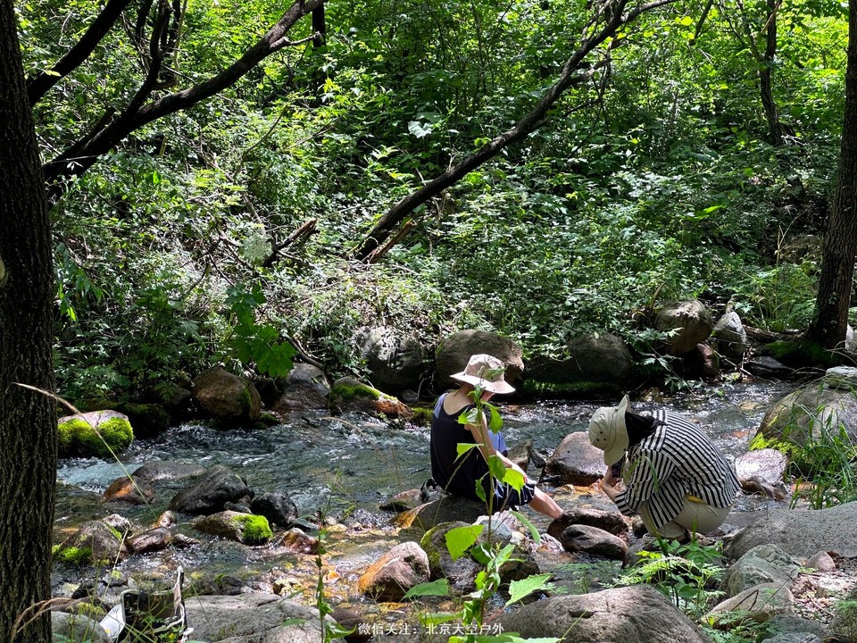 22FA8A5E-138F-4D55-9F70-755FC67A68F2