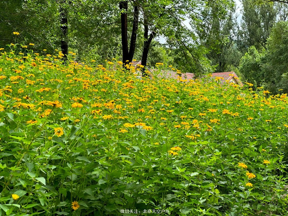 B39A64D0-989F-4E22-A974-3965B399BA97