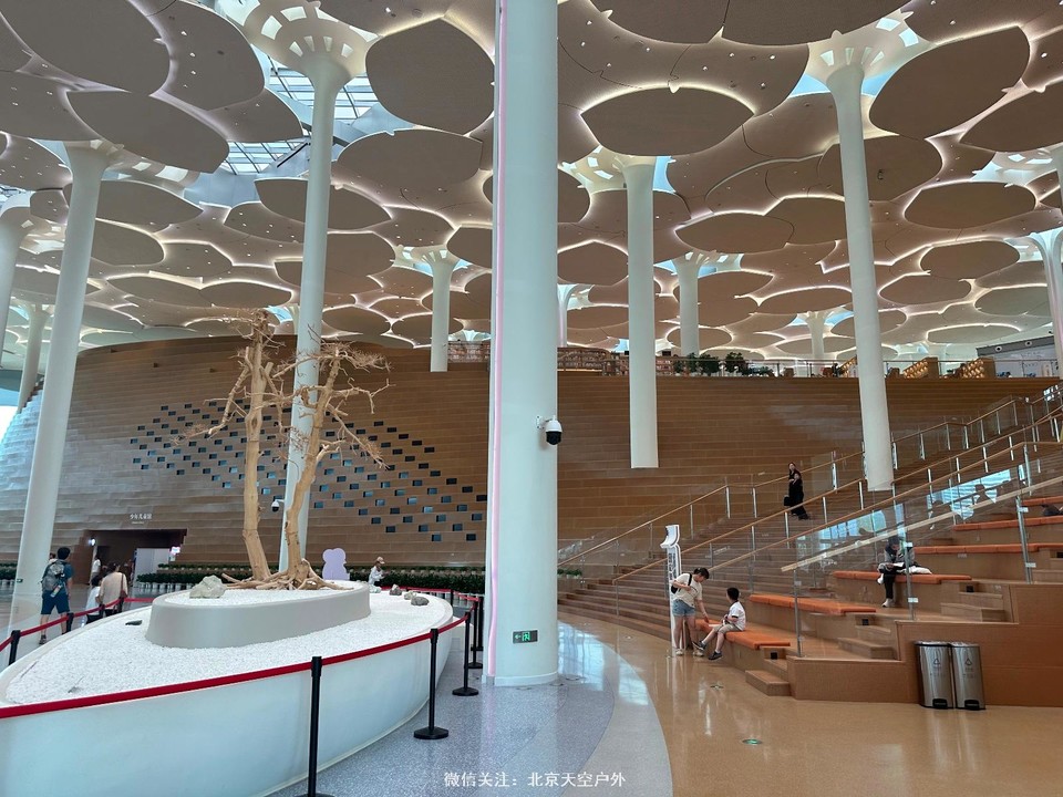 6D19AEB8-3A54-4411-B00D-4580A1B1F18E