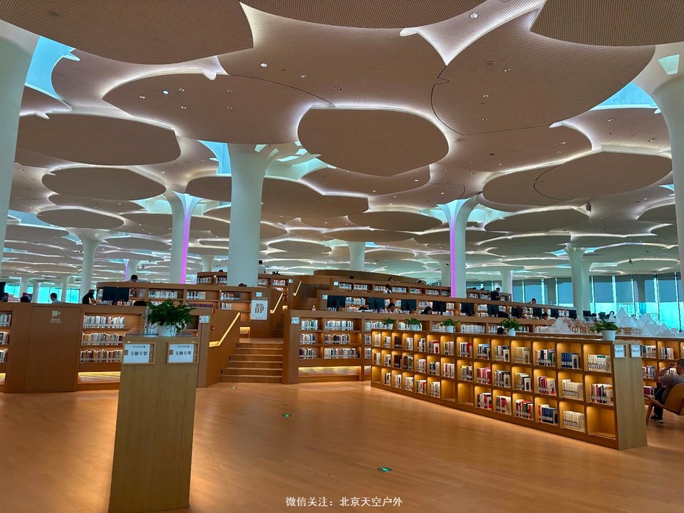 BD47911A-3E52-439F-B0A2-19E2D30B1253