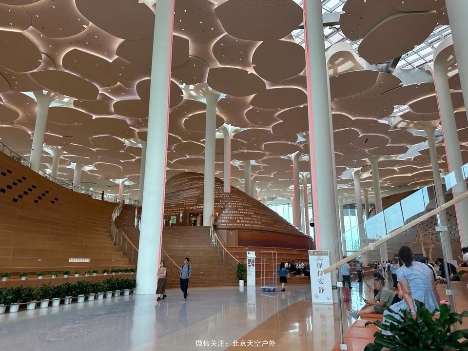 C6B4616B-5F54-4E1C-8654-CEC2EAE62900