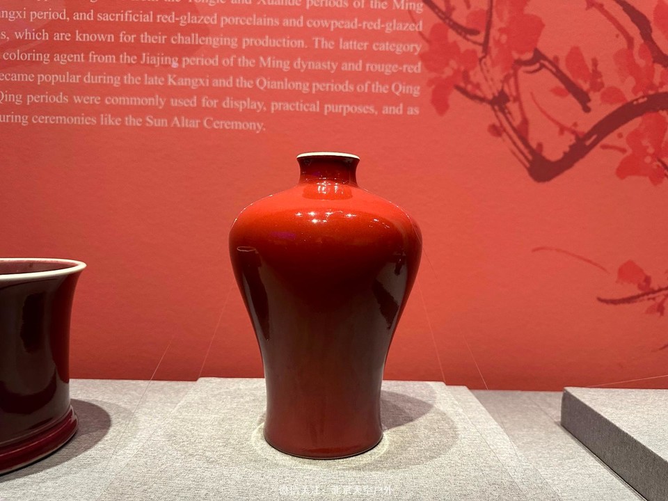 D3CE9A0D-049B-4781-893C-A162CE67E126