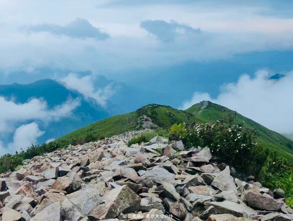 B84314AD-D490-4470-9B06-3F3A22C819BE