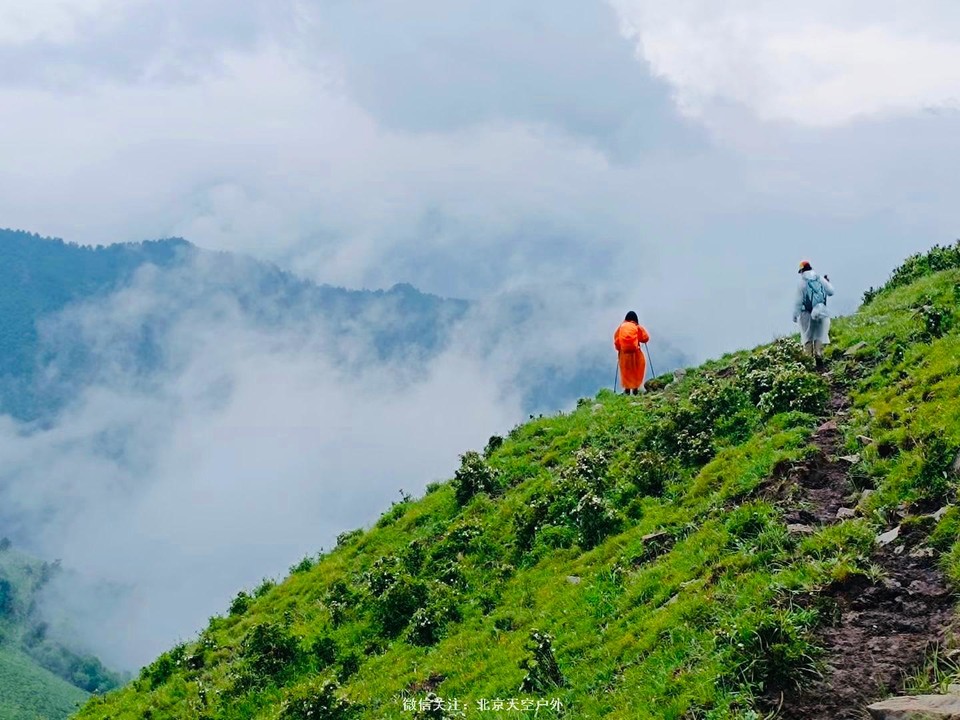 ED0429A7-BA7E-4D0B-8567-F329A6B0DB78