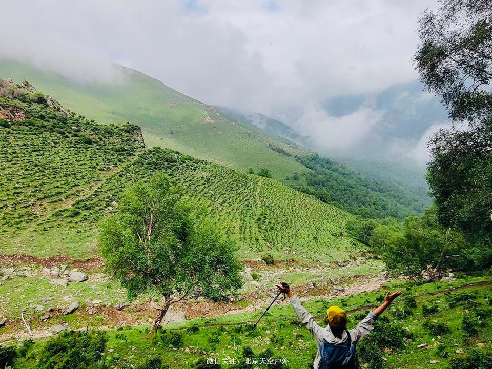 513D0459-43FF-46BC-806C-969259EDEE5D