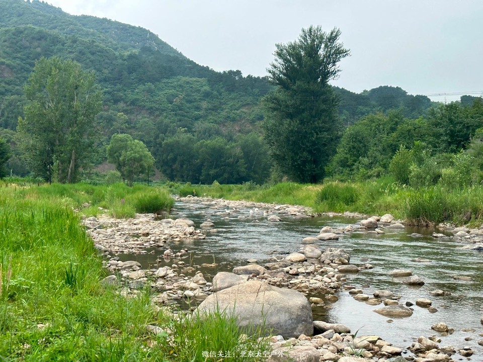 DEB4D309-654A-45F1-925B-665CE0EE0554